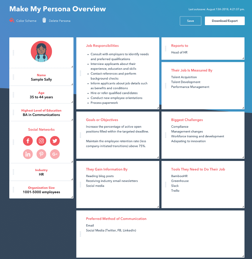 Buyer Persona Template Example 1