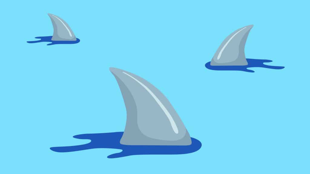 Common Legal Risks Startups Should Avoid