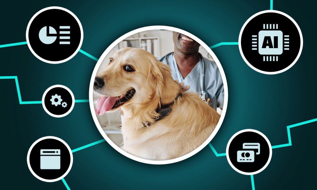 The Best Business Tools for Veterinary Practices in 2026